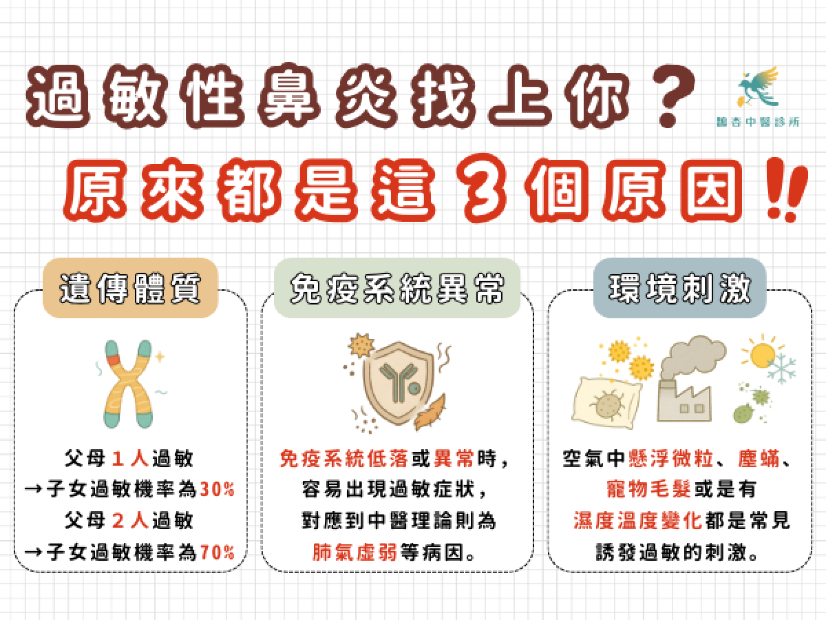 過敏性鼻炎找上你？原來都是這３個原因