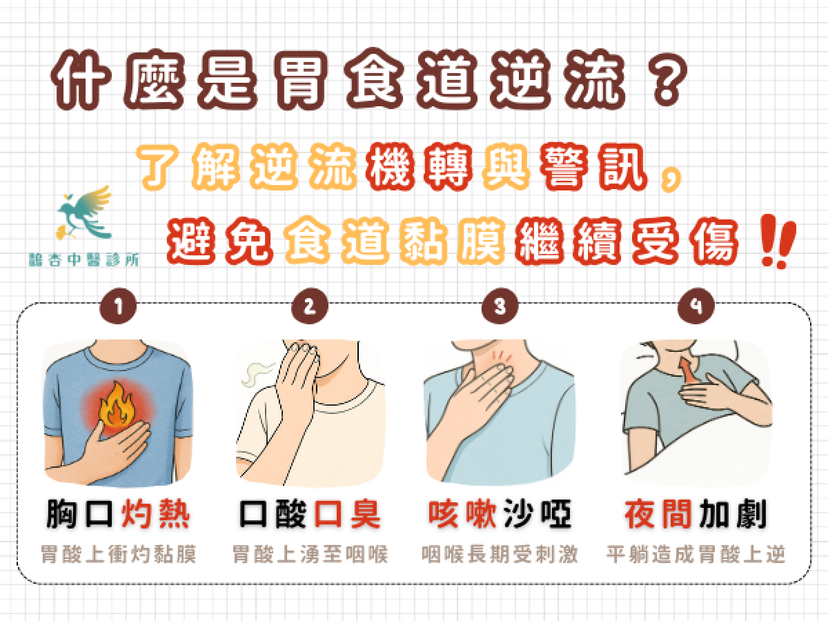 什麼是胃食道逆流？常見症狀與影響