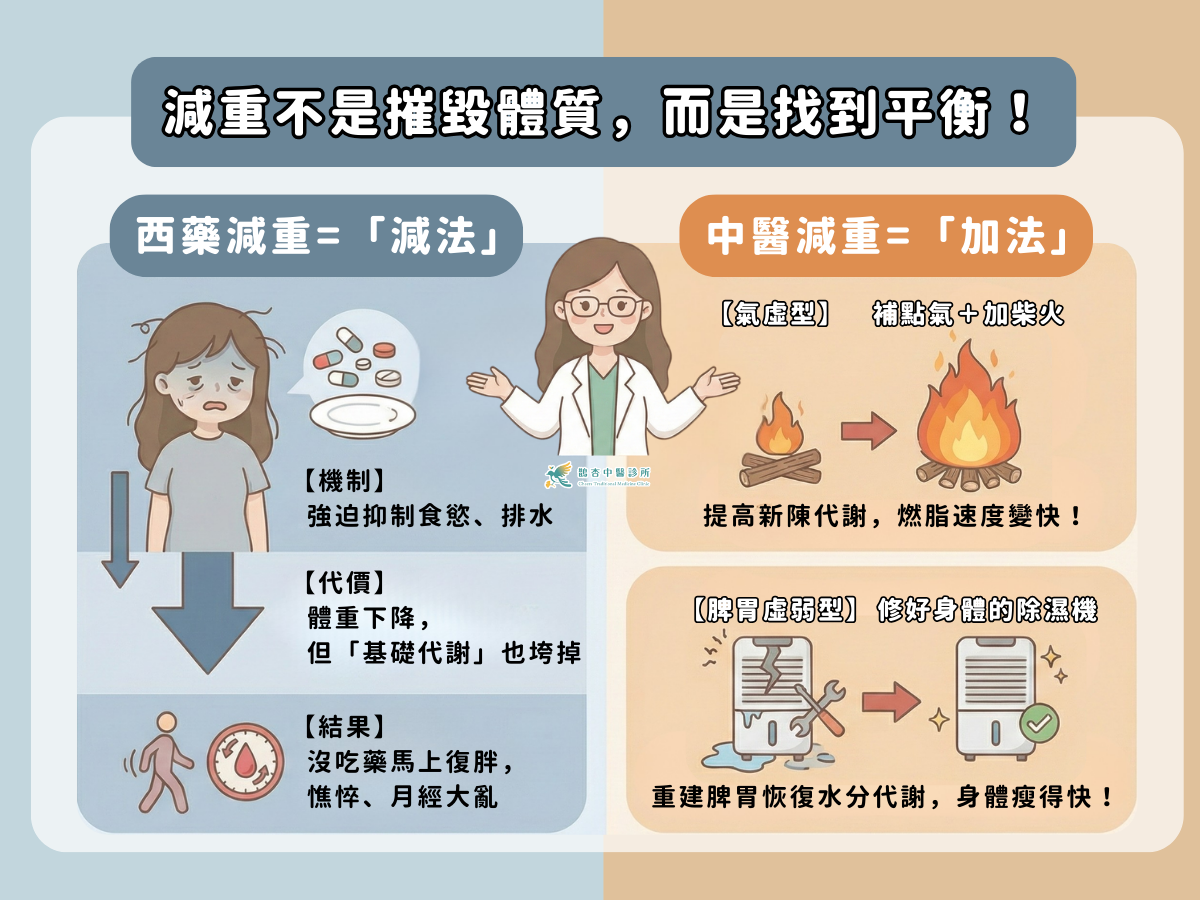 減重不是推毀體質，而是找回平衡！