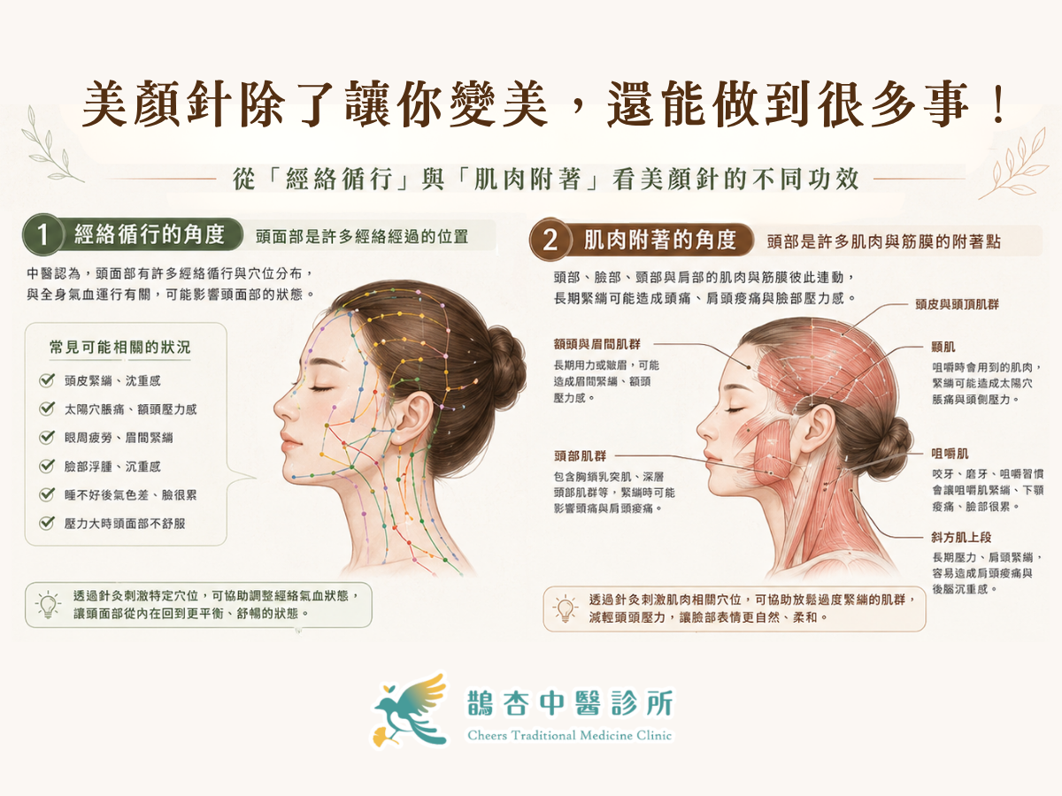 美顏針不只讓臉變美？從經絡循行與肌肉附著，看頭痛、肩頸痠緊與頭面部壓力調整