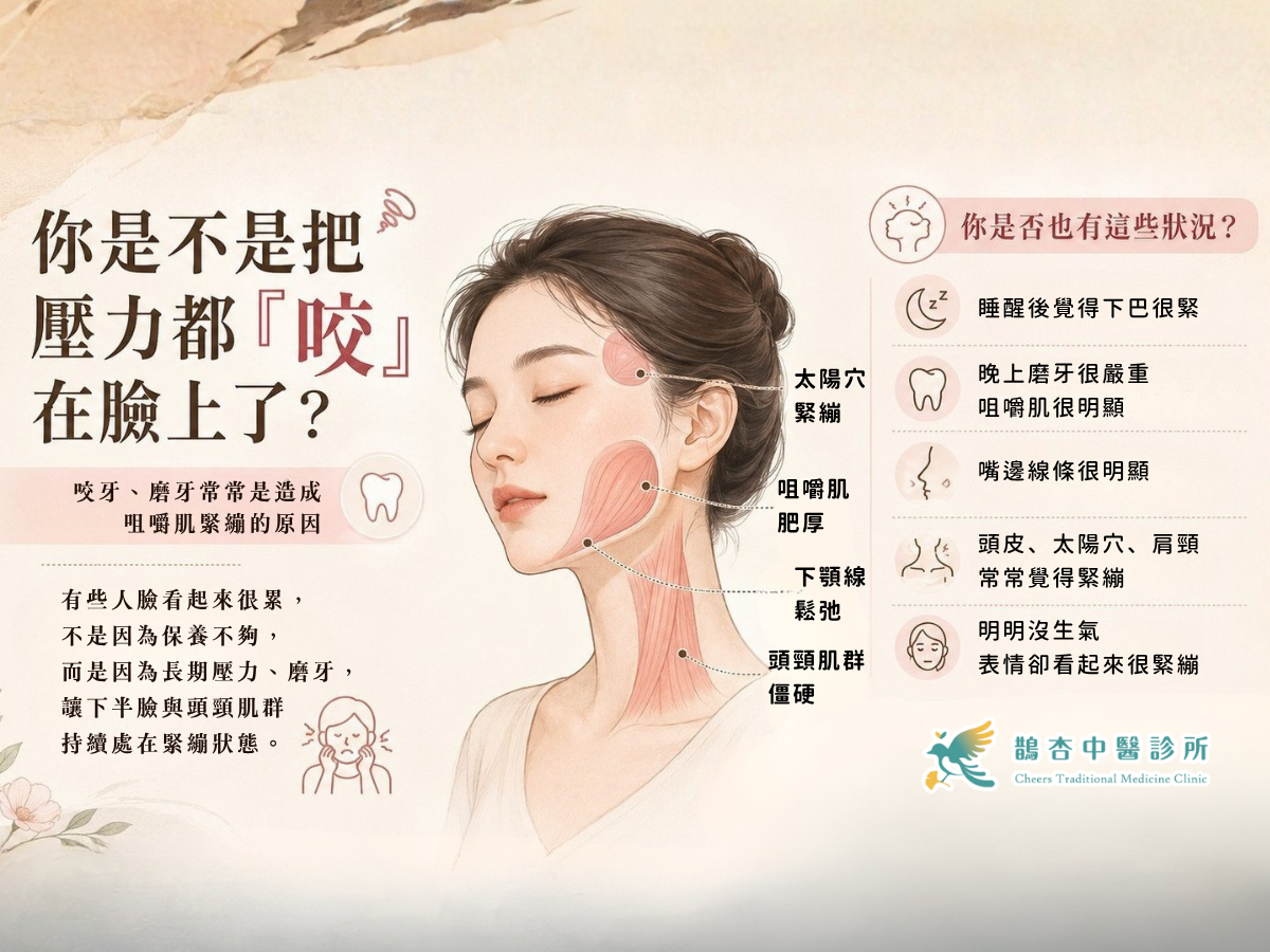 咬牙、磨牙也會讓臉變緊？美顏針如何評估咀嚼肌與頭頸緊繃
